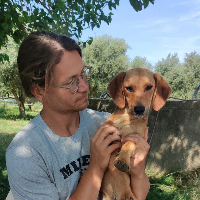 Henrik