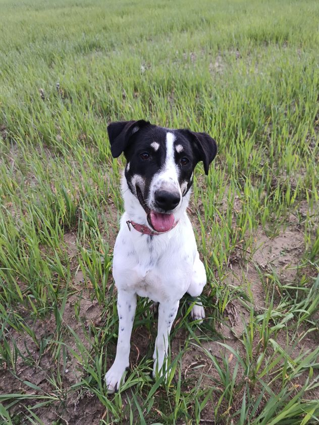 Prue