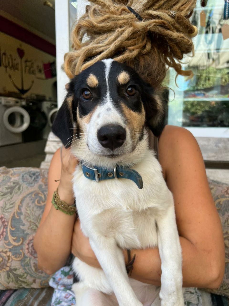 Frieda